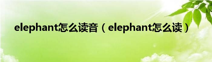 elephant怎么读音（elephant怎么读）