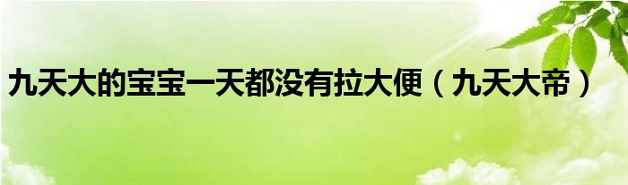 九天大的宝宝一天都没有拉大便（九天大帝）