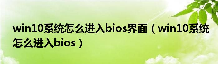 win10系统怎么进入bios界面（win10系统怎么进入bios）