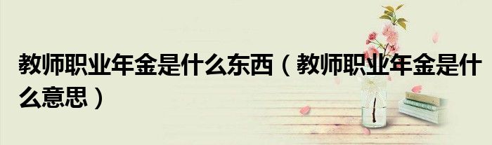教师职业年金是什么东西（教师职业年金是什么意思）
