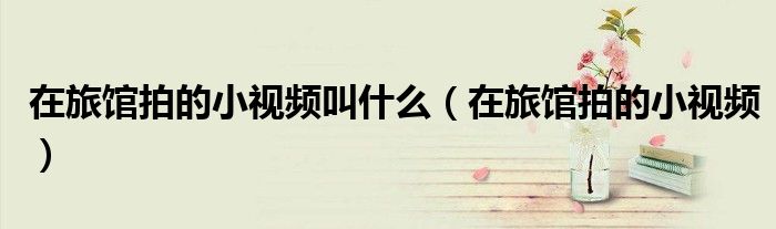 在旅馆拍的小视频叫什么（在旅馆拍的小视频）