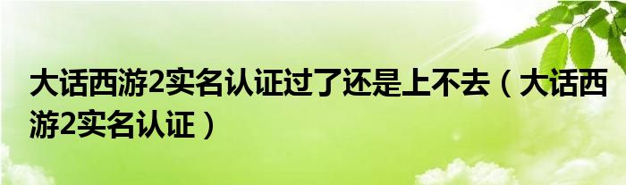 大话西游2实名认证过了还是上不去（大话西游2实名认证）