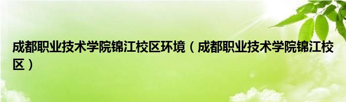 成都职业技术学院锦江校区环境（成都职业技术学院锦江校区）