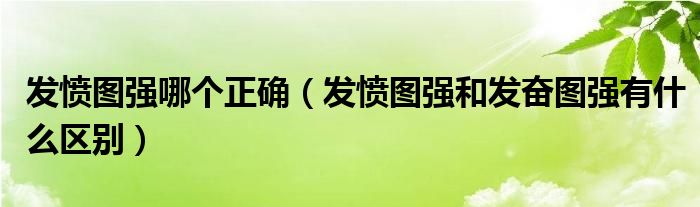 发愤图强哪个正确（发愤图强和发奋图强有什么区别）