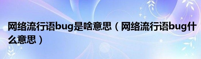 网络流行语bug是啥意思（网络流行语bug什么意思）