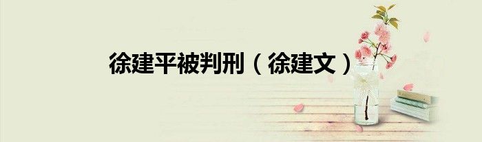 徐建平被判刑（徐建文）
