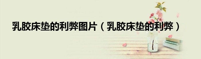 乳胶床垫的利弊图片（乳胶床垫的利弊）