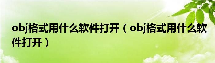 obj格式用什么软件打开（obj格式用什么软件打开）