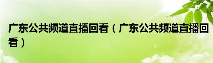 广东公共频道直播回看（广东公共频道直播回看）