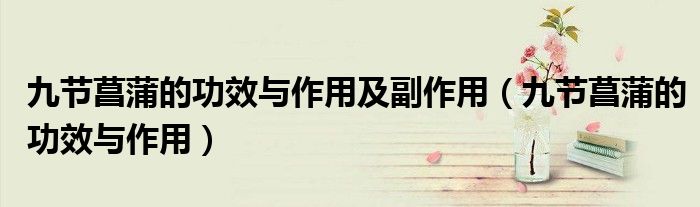 九节菖蒲的功效与作用及副作用（九节菖蒲的功效与作用）