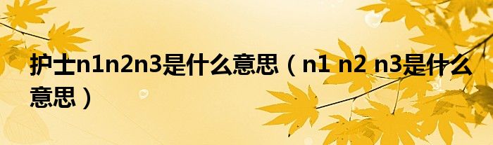 护士n1n2n3是什么意思（n1 n2 n3是什么意思）