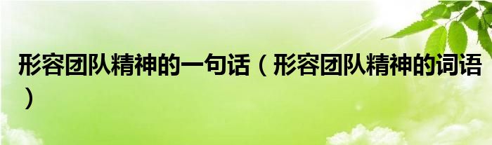 形容团队精神的一句话（形容团队精神的词语）