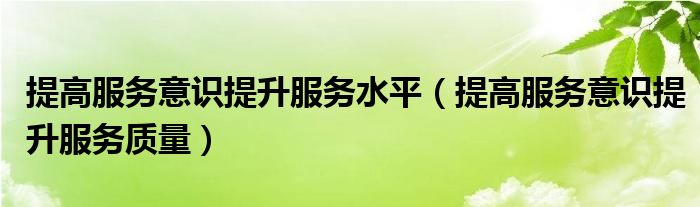 提高服务意识提升服务水平（提高服务意识提升服务质量）