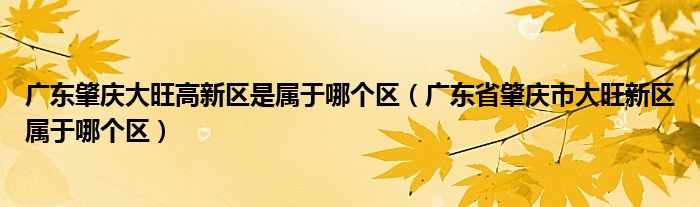 广东肇庆大旺高新区是属于哪个区（广东省肇庆市大旺新区属于哪个区）