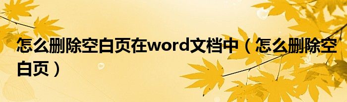 怎么删除空白页在word文档中（怎么删除空白页）