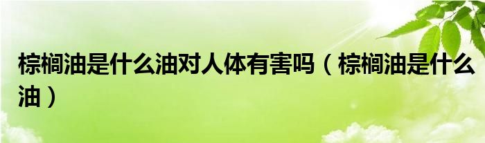 棕榈油是什么油对人体有害吗（棕榈油是什么油）