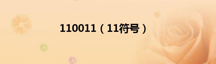110011（11符号）