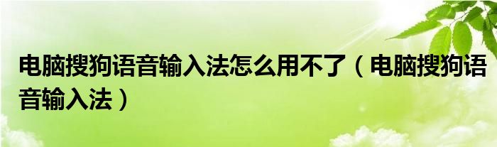 电脑搜狗语音输入法怎么用不了（电脑搜狗语音输入法）