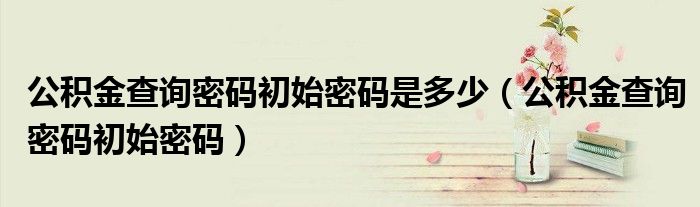 公积金查询密码初始密码是多少（公积金查询密码初始密码）