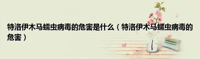 特洛伊木马蠕虫病毒的危害是什么（特洛伊木马蠕虫病毒的危害）