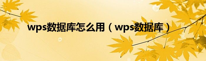 wps数据库怎么用（wps数据库）