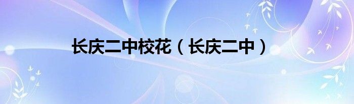 长庆二中校花（长庆二中）