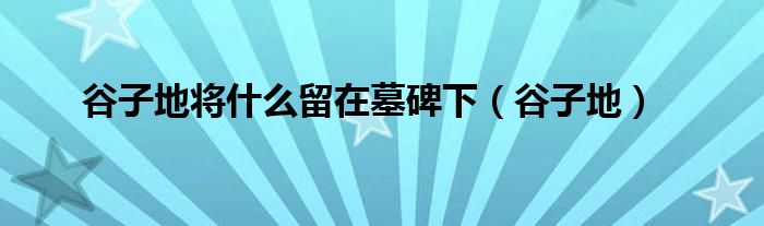 谷子地将什么留在墓碑下（谷子地）