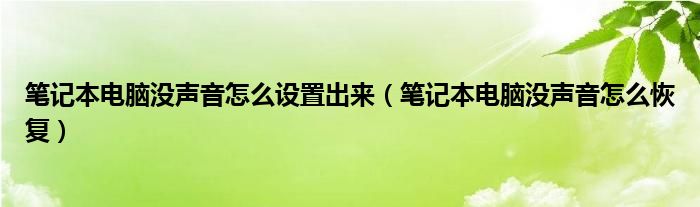 笔记本电脑没声音怎么设置出来（笔记本电脑没声音怎么恢复）