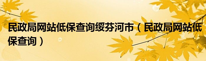 民政局网站低保查询绥芬河市（民政局网站低保查询）