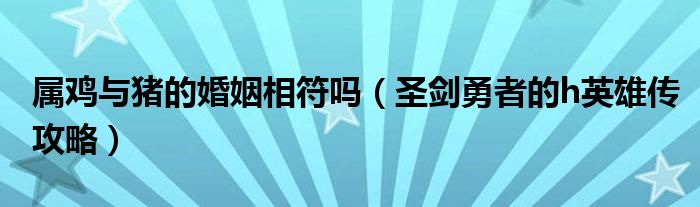 属鸡与猪的婚姻相符吗（圣剑勇者的h英雄传攻略）