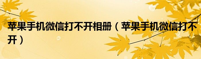 苹果手机微信打不开相册（苹果手机微信打不开）