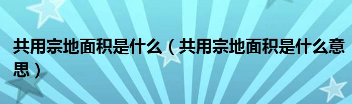 共用宗地面积是什么（共用宗地面积是什么意思）