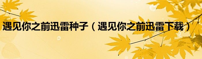 遇见你之前迅雷种子（遇见你之前迅雷下载）