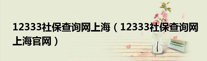 12333社保查询网上海（12333社保查询网上海官网）