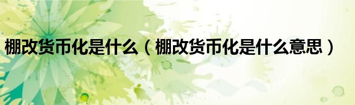 棚改货币化是什么（棚改货币化是什么意思）