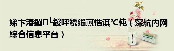 娣卞湷鑸┖鍐呯綉缁煎悎淇℃伅（深航内网综合信息平台）