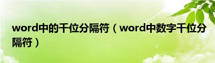 word中的千位分隔符（word中数字千位分隔符）