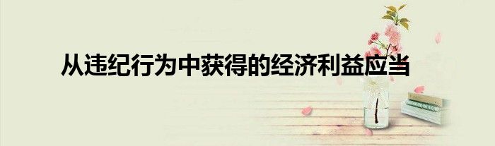 从违纪行为中获得的经济利益应当