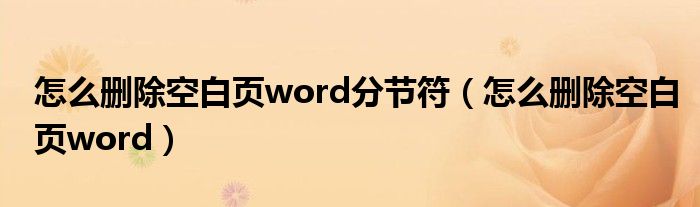 怎么删除空白页word分节符（怎么删除空白页word）