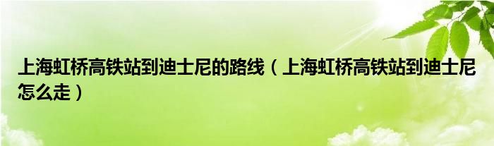 上海虹桥高铁站到迪士尼的路线（上海虹桥高铁站到迪士尼怎么走）