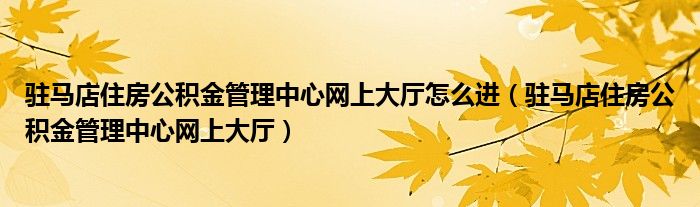 驻马店住房公积金管理中心网上大厅怎么进（驻马店住房公积金管理中心网上大厅）