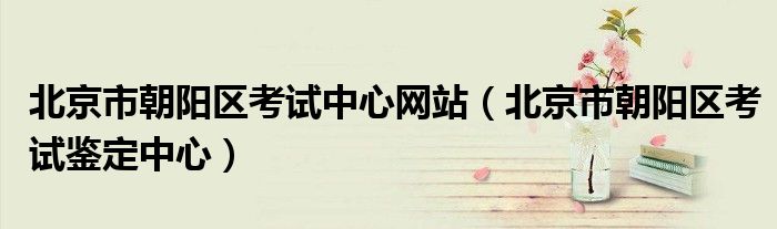 北京市朝阳区考试中心网站（北京市朝阳区考试鉴定中心）