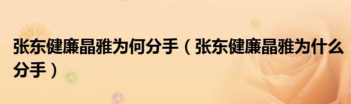 张东健廉晶雅为何分手（张东健廉晶雅为什么分手）