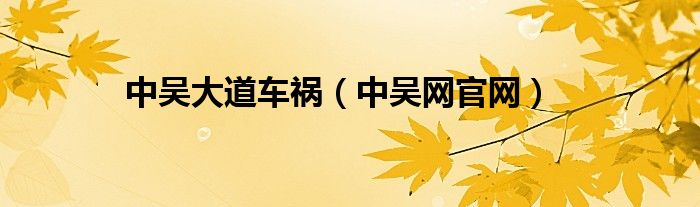 中吴大道车祸（中吴网官网）