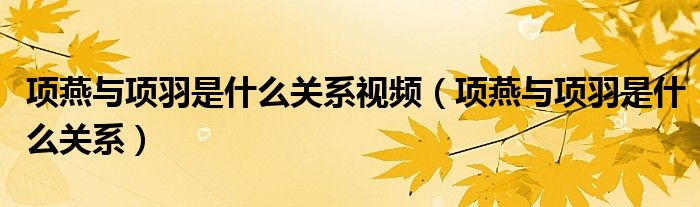 项燕与项羽是什么关系视频（项燕与项羽是什么关系）
