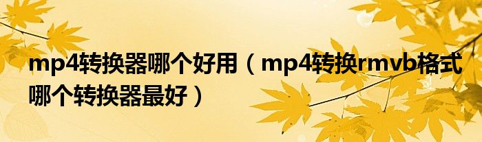 mp4转换器哪个好用（mp4转换rmvb格式哪个转换器最好）