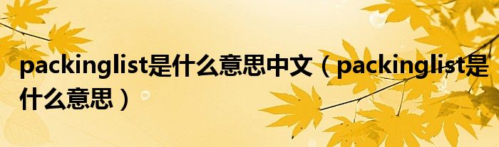 packinglist是什么意思中文（packinglist是什么意思）
