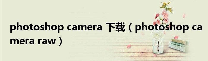 photoshop camera 下载（photoshop camera raw）