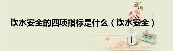 饮水安全的四项指标是什么（饮水安全）