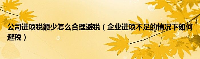 公司进项税额少怎么合理避税（企业进项不足的情况下如何避税）